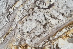 FLORATTA WHITE LEATHER 3CM LOT 3L423403SPCL 126X80